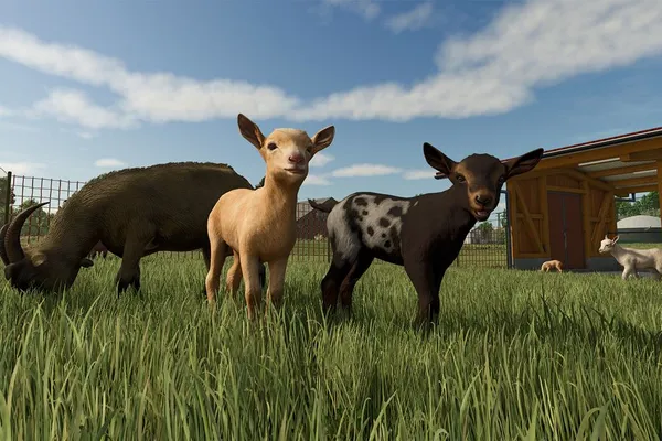 《Farming Simulator 25(模擬農場25)》今日發售!上市預告片與介紹地圖的3支預告片現已公開