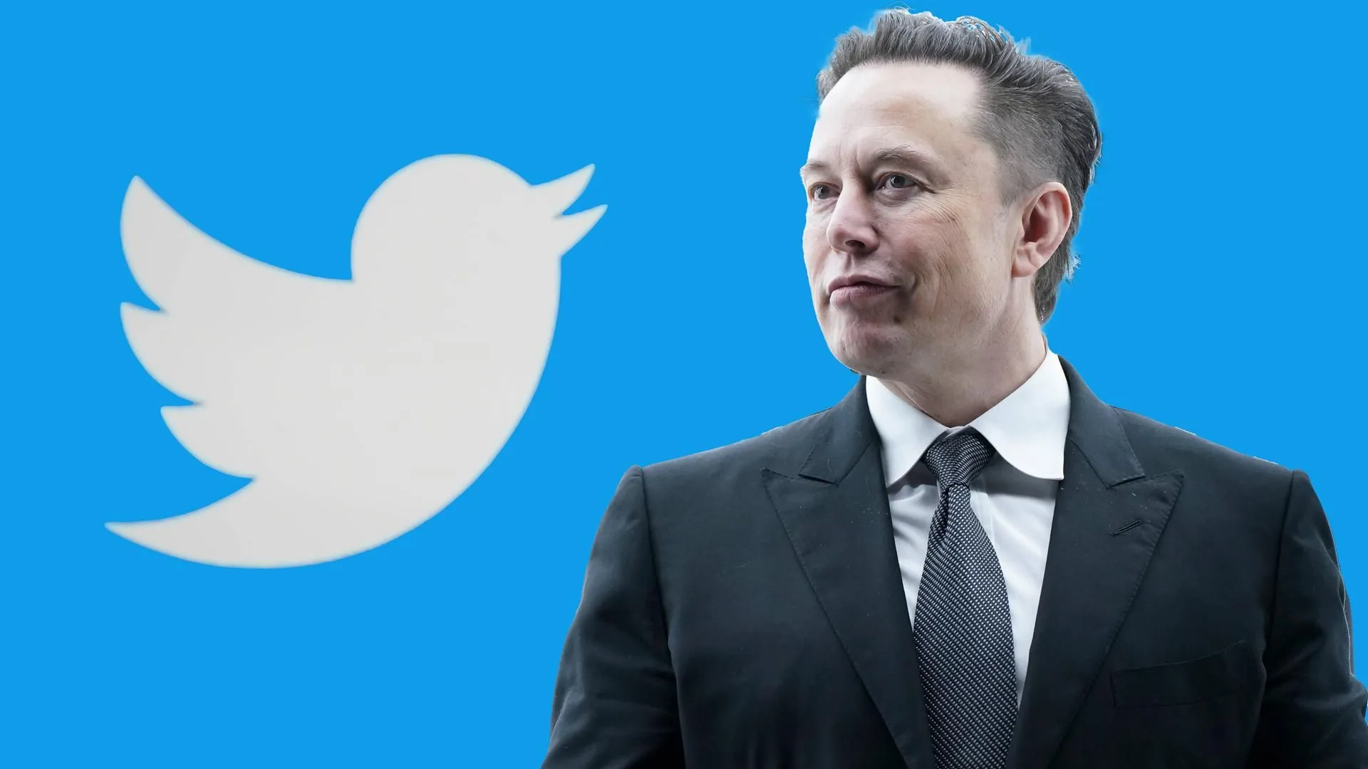 推特將迎來大改革 馬斯克表“Twitter Blue將轉換為 $8 美訂閱服務”