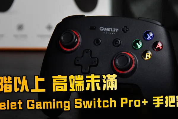 中階以上;高端未滿 – Omelet Gaming Switch Pro+ 無線手把評測與使用心得