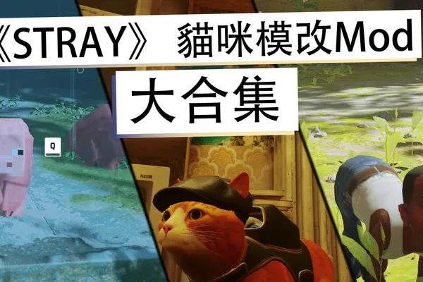 《STRAY》10大特色鮮明的貓咪模改Mod合集 好像有幾個怪怪的?
