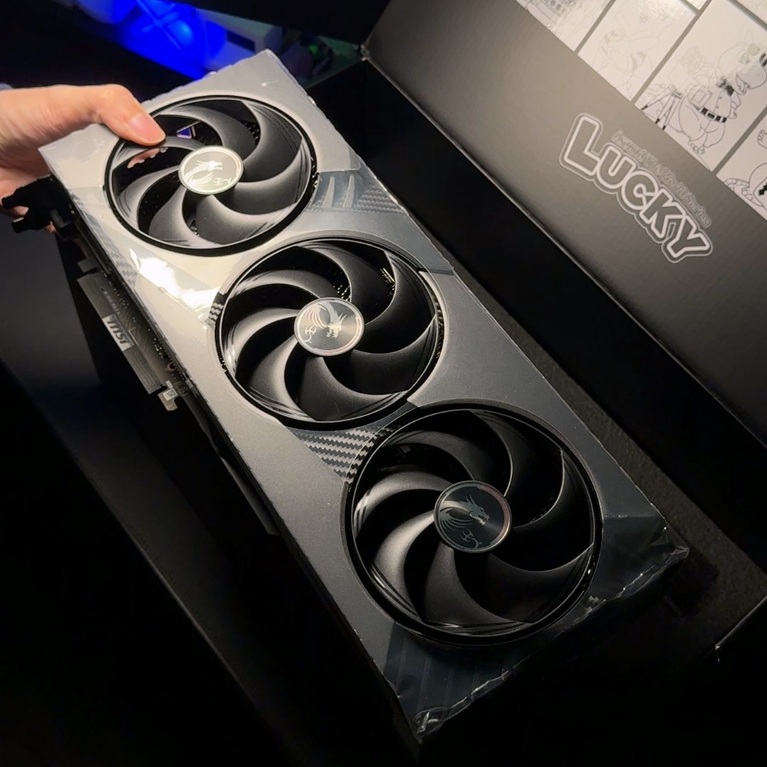 IMG_7782.MOV_20250219_055539.907